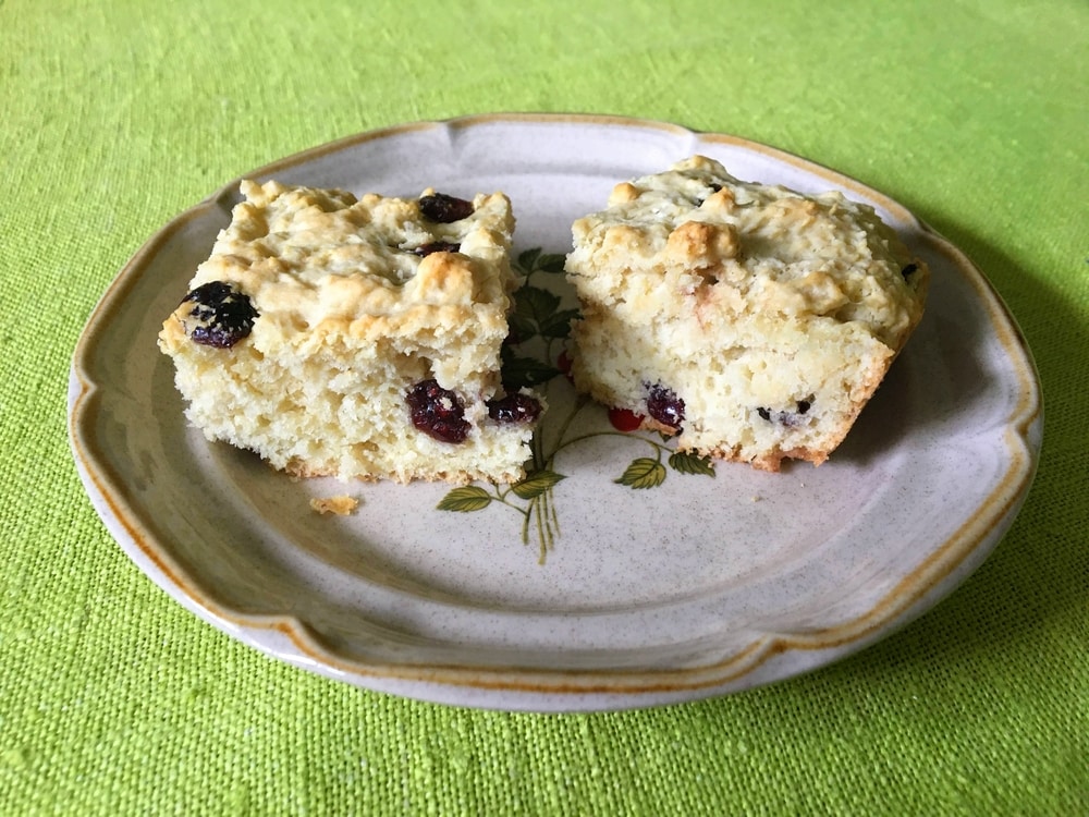 Two slices of bannock with cranberries on a plate.